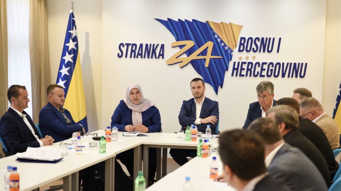 Efendić: Suverena i funkcionalna država ne može biti ona koja ima konstitutivne narode